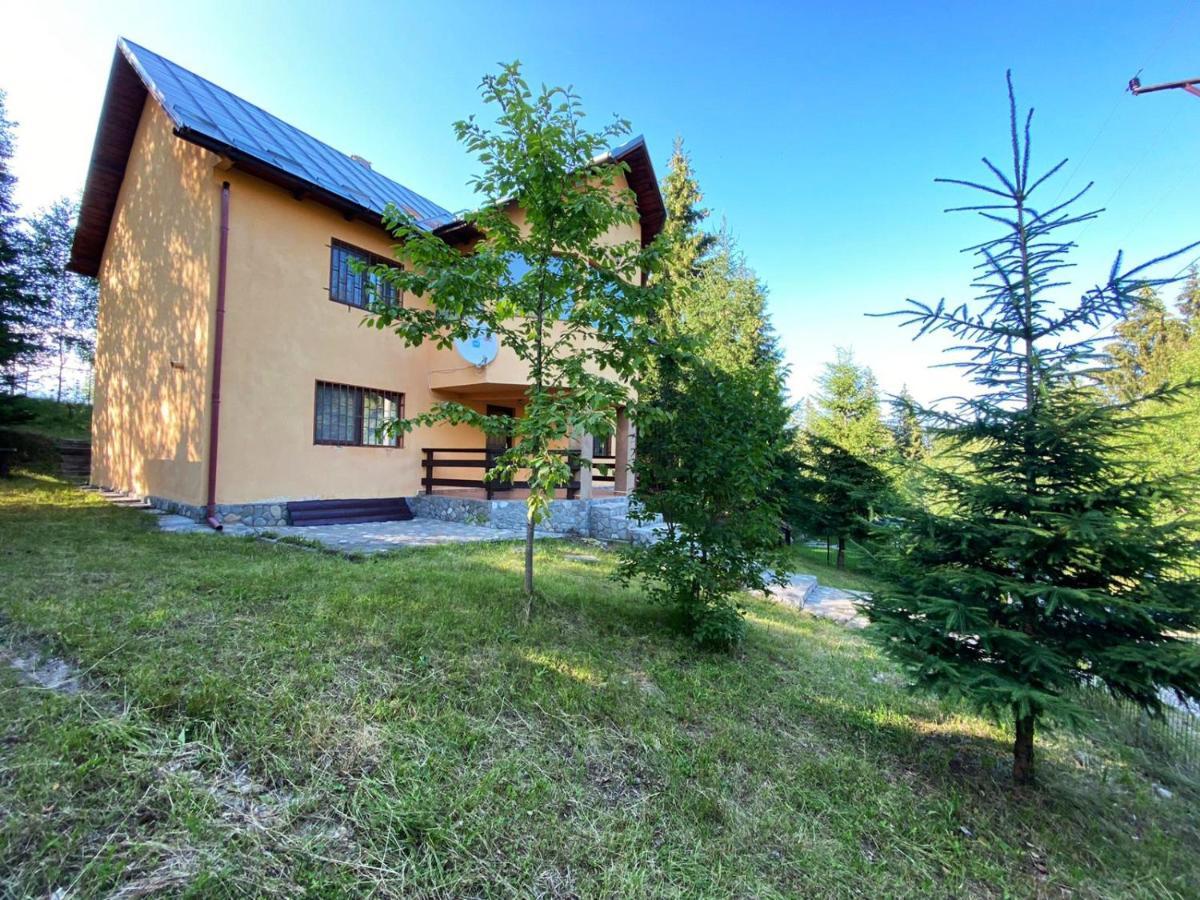 Casa Ionel Si Dani Villa Fundata Exterior photo