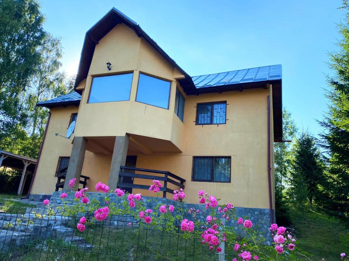 Casa Ionel Si Dani Villa Fundata Exterior photo